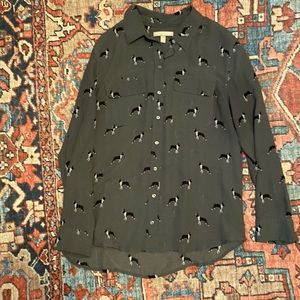 Banana Republic dress shirt size M with Boston Terrier print